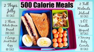 500 calorie meals